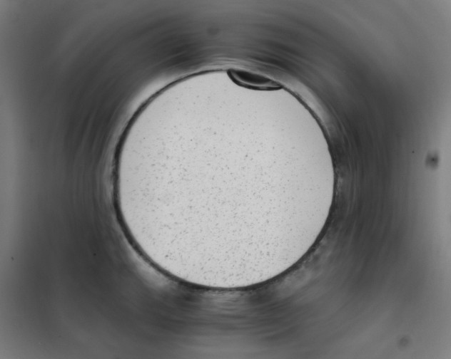 X0000101431143200808041145