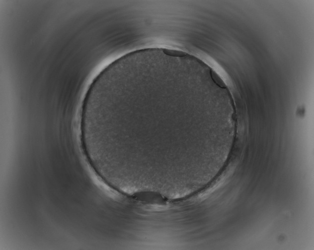 X0000101431144200808041145