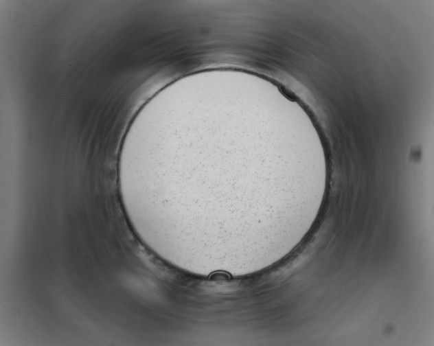 X0000101431145200808041146