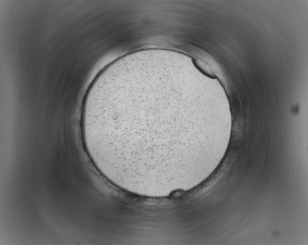 X0000101431146200808041146