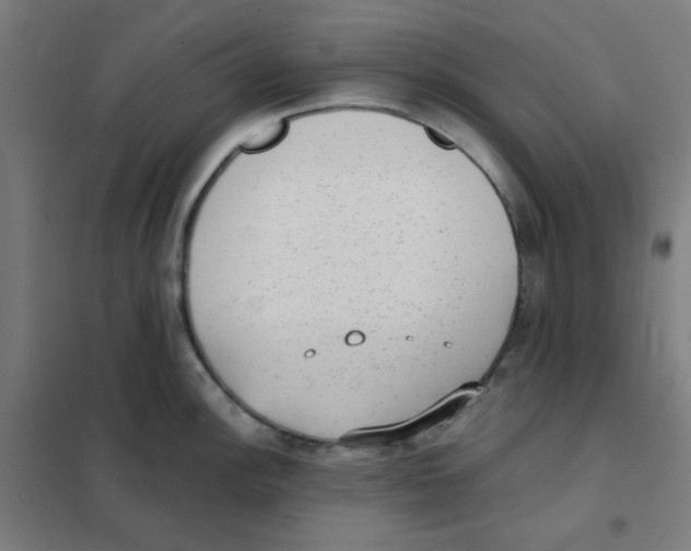 X0000101431148200808041146