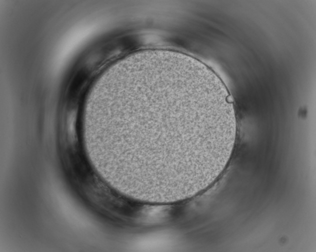 X0000101431150200808041146