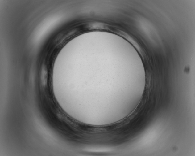 X0000101431151200808041146