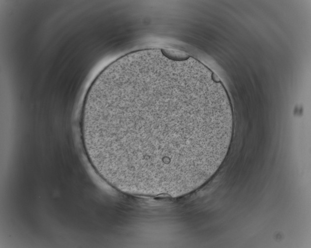 X0000101431152200808041146