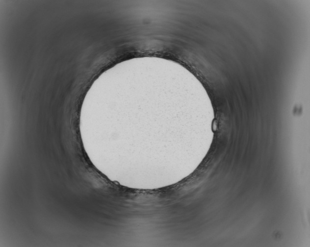 X0000101431153200808041145