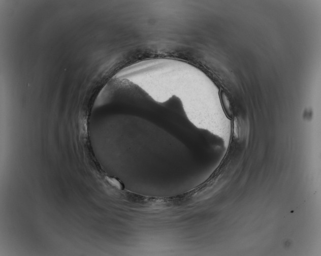 X0000101431155200808041145