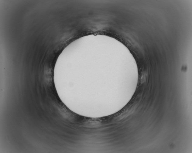 X0000101431156200808041145