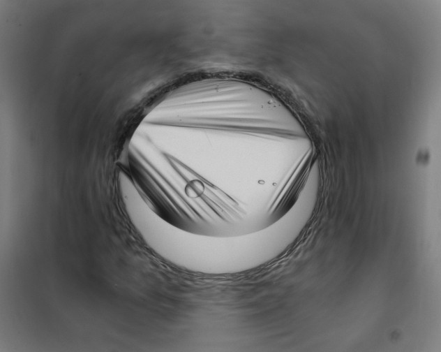 X0000101431157200808041145