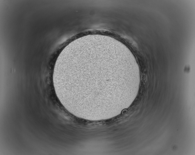 X0000101431159200808041145