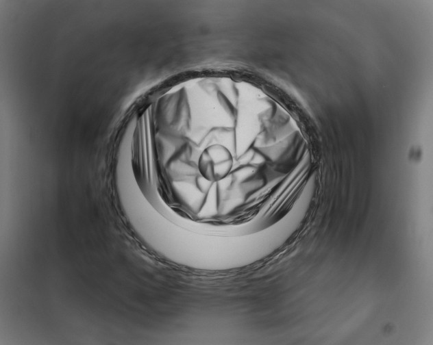 X0000101431160200808041145