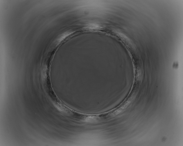 X0000101431161200808041145