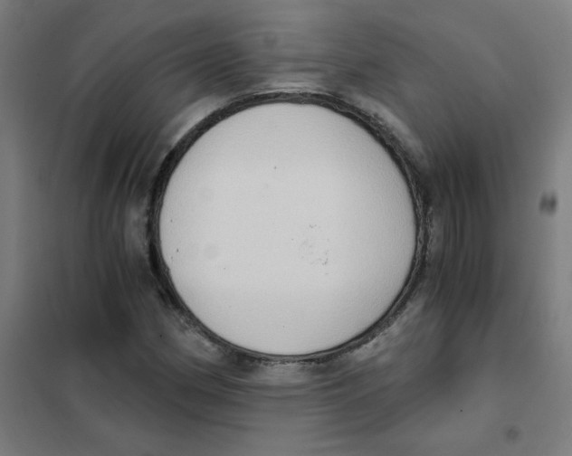 X0000101431162200808041145