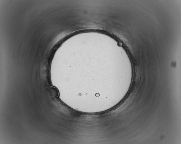 X0000101431163200808041145