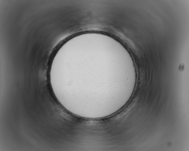 X0000101431166200808041145