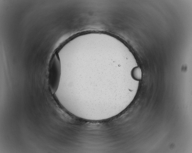 X0000101431168200808041145