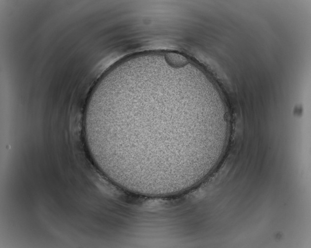 X0000101431169200808041145