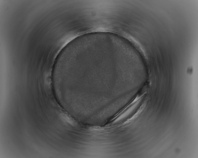 X0000101431170200808041145