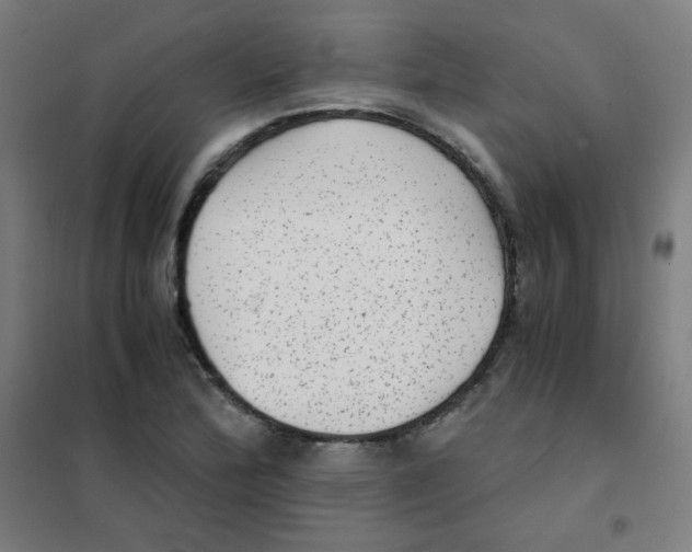 X0000101431172200808041145