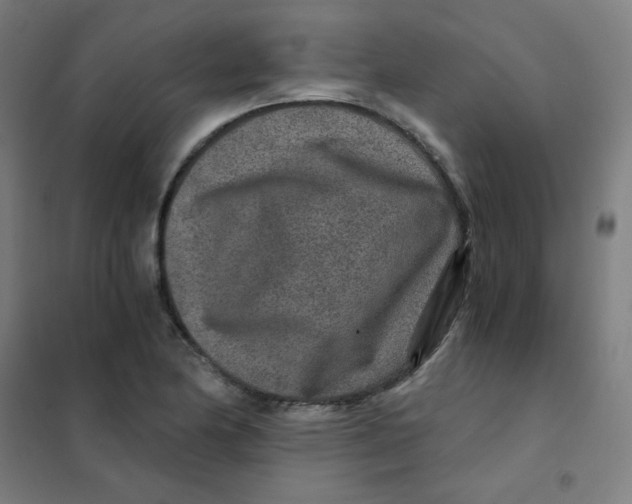 X0000101431174200808041145