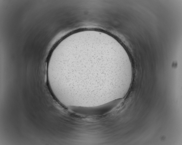 X0000101431175200808041144