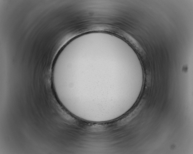 X0000101431178200808041144