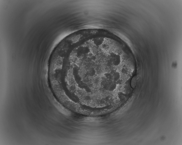 X0000101431179200808041144