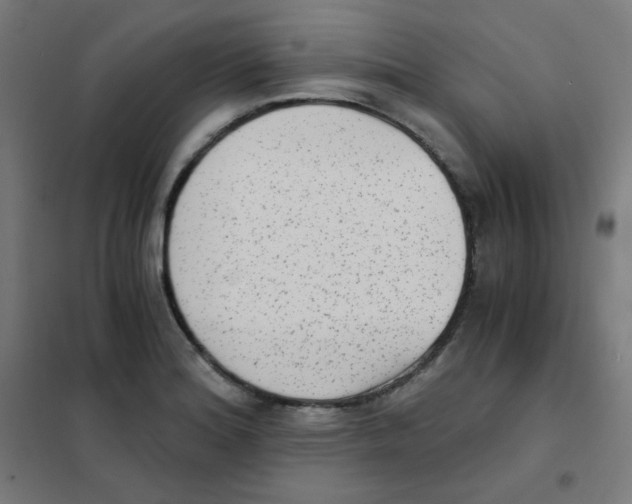 X0000101431180200808041144