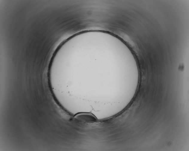 X0000101431181200808041144