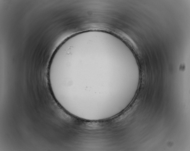 X0000101431182200808041144