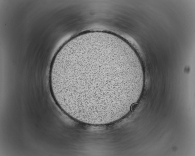 X0000101431183200808041144