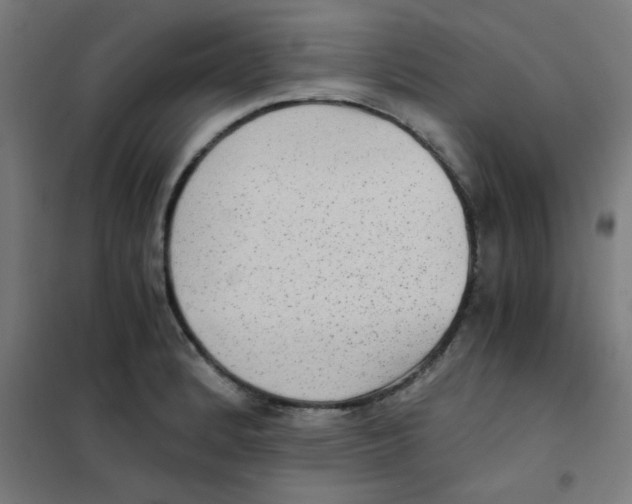 X0000101431184200808041144