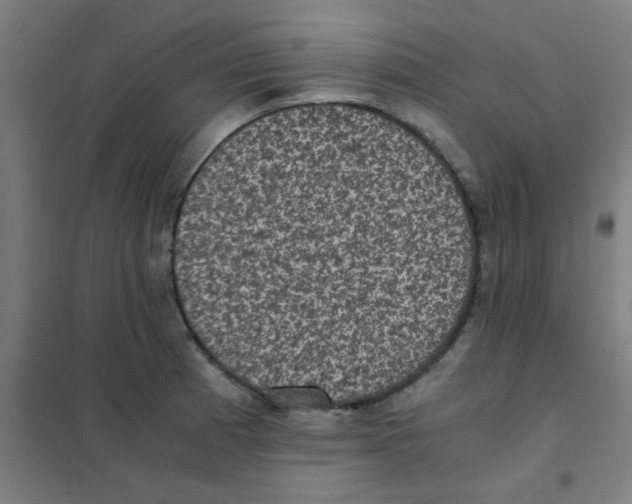 X0000101431185200808041144