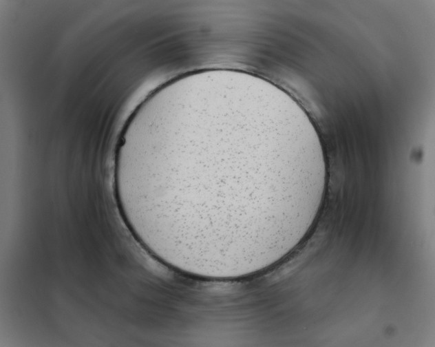 X0000101431188200808041144