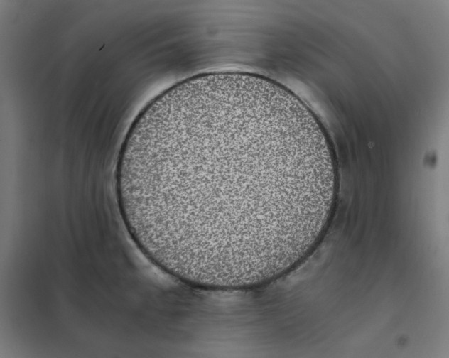 X0000101431189200808041144