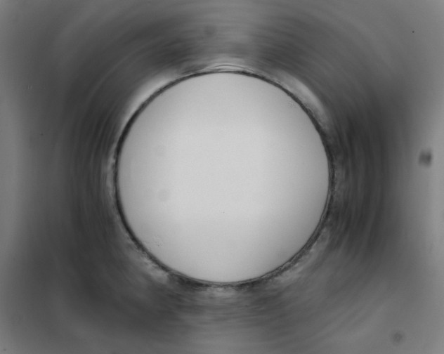 X0000101431190200808041144