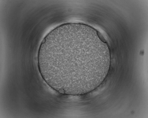 X0000101431191200808041144