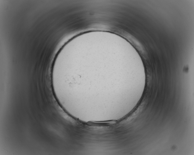 X0000101431192200808041144