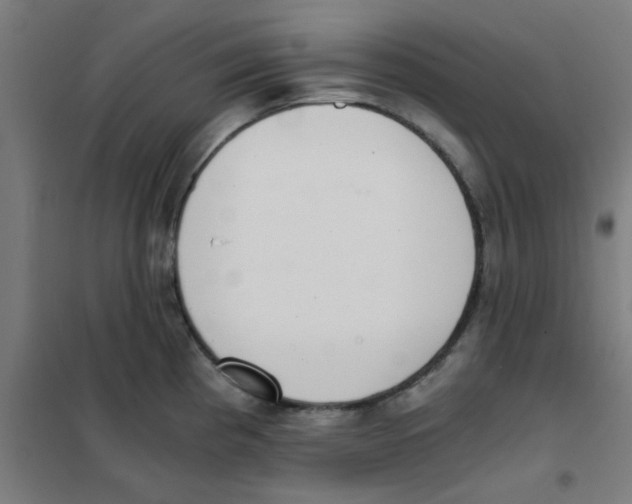 X0000101431193200808041144