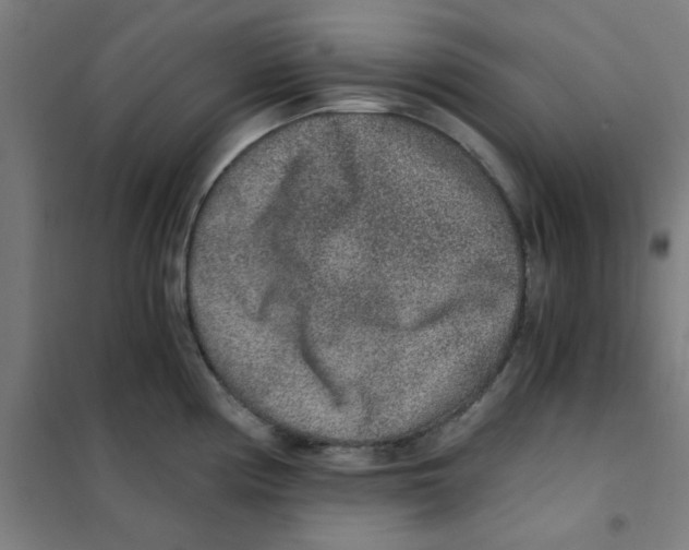 X0000101431194200808041144