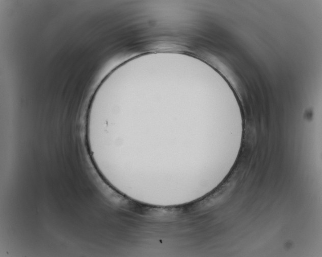 X0000101431195200808041144