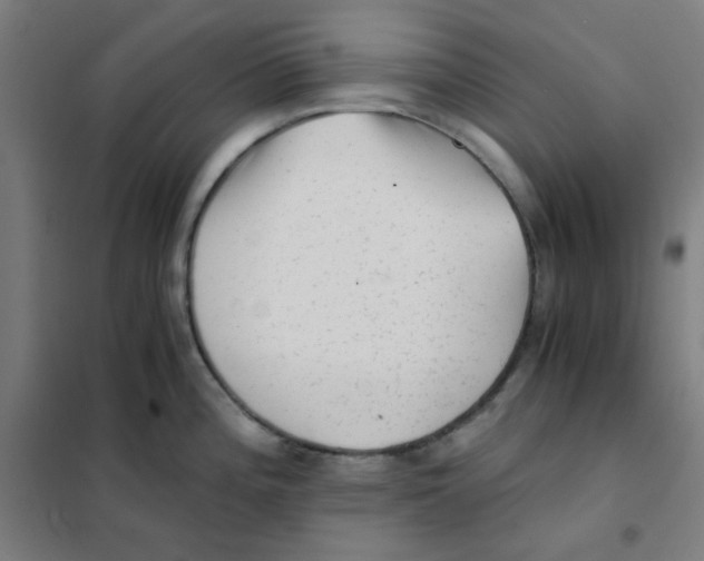 X0000101431196200808041144