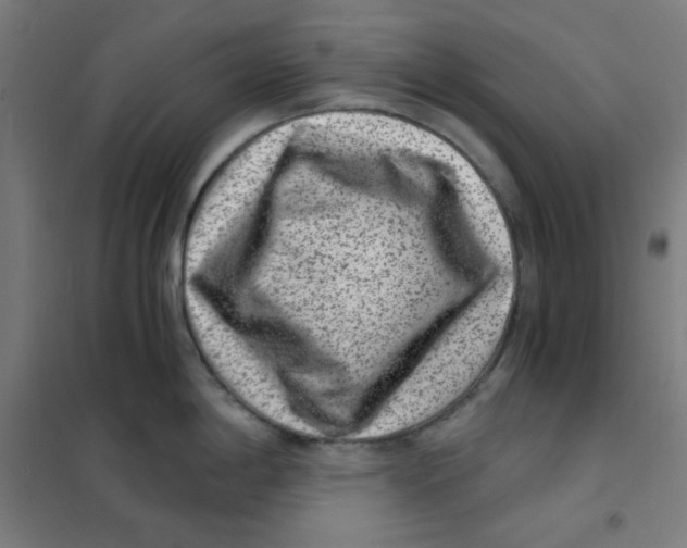 X0000101431198200808041144