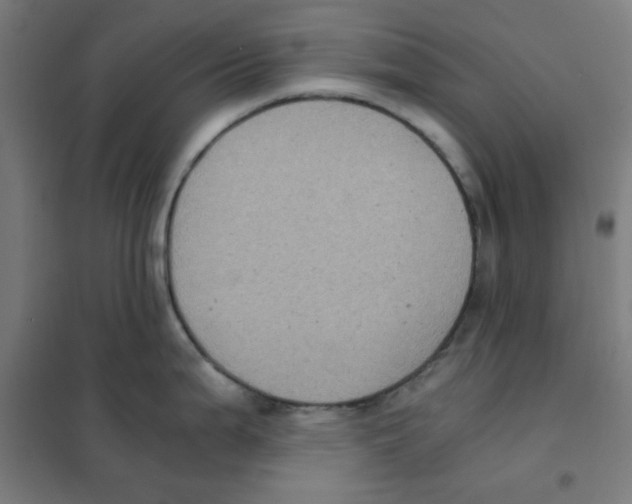 X0000101431199200808041144