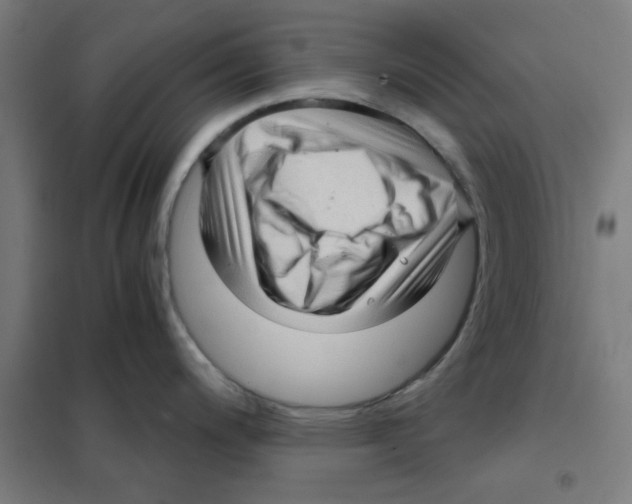 X0000101431200200808041144