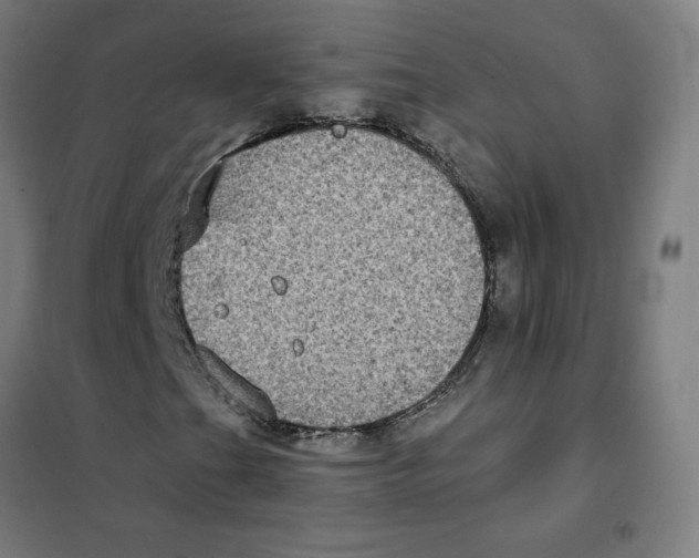 X0000101431201200808041143