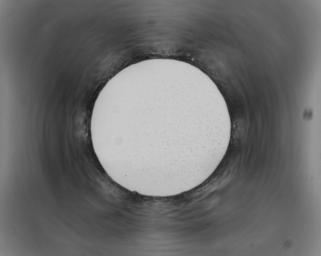 X0000101431202200808041143