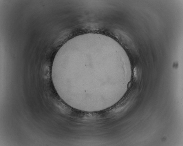 X0000101431203200808041143