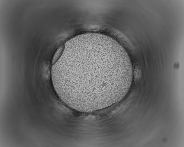 X0000101431204200808041143