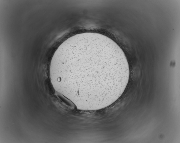 X0000101431205200808041144