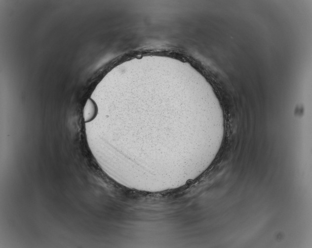 X0000101431206200808041144